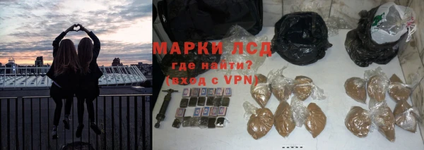 твердый Алзамай