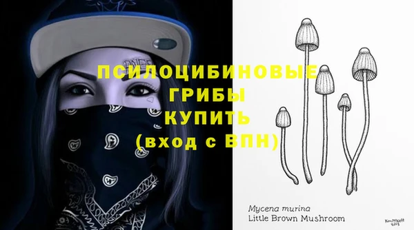 дурь Абинск