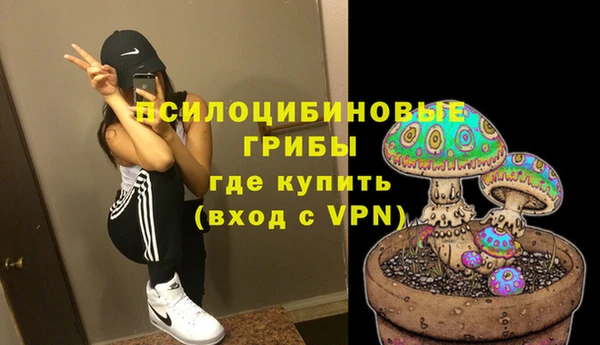 мяу мяу мука Абаза