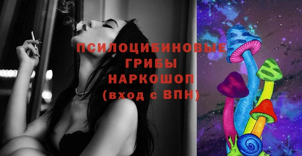 мяу мяу мука Абаза