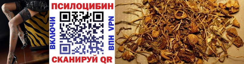 где купить OMG рабочий сайт Галлюциногенные грибы Psilocybine cubensis Дальнереченск
