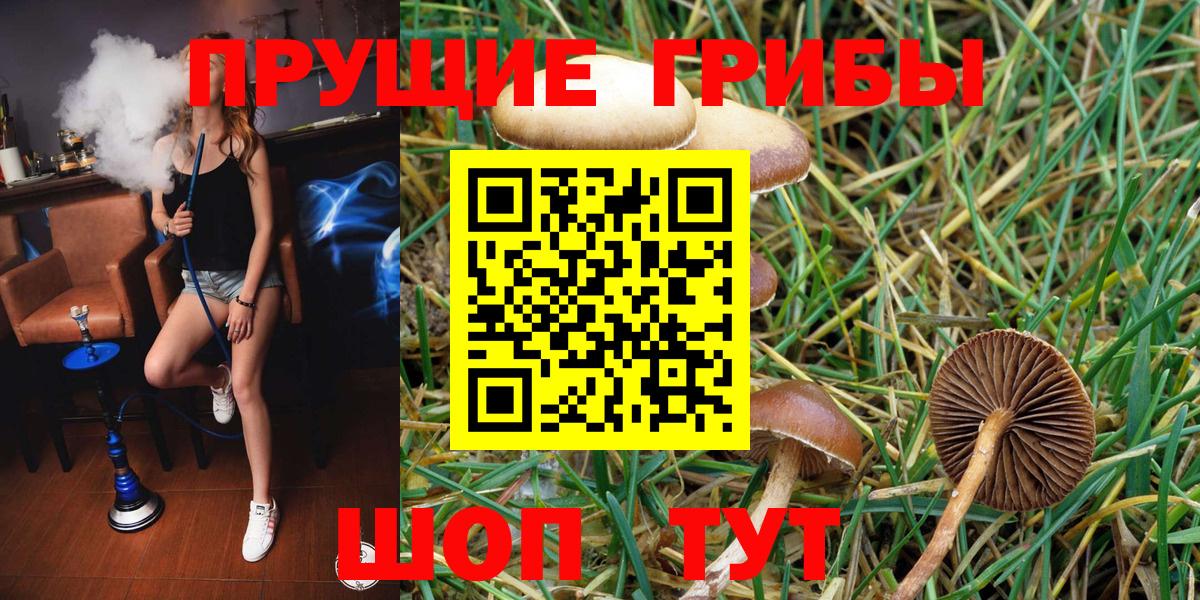 Галлюциногенные грибы Psilocybine cubensis  Вход с VPN  Дальнереченск 