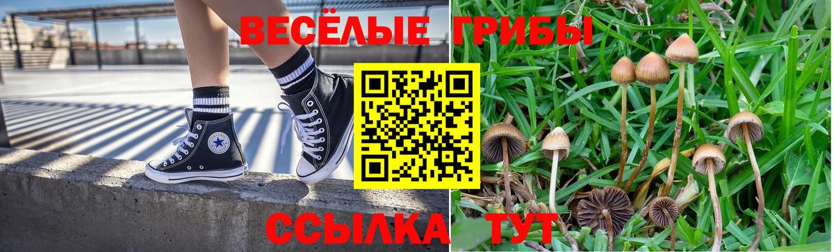 Галлюциногенные грибы ЛСД Дальнереченск